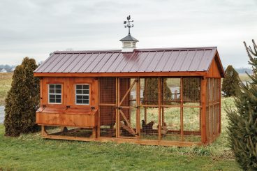 Combination Chicken Coops