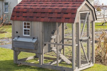 Gambrel Chicken Coops